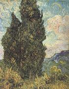 Vincent Van Gogh Cypresses (nn04) oil